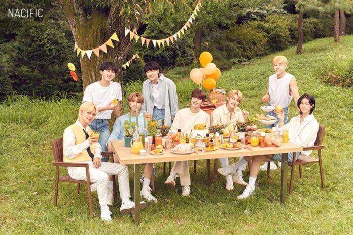 นาซิฟิค X Stray Kids