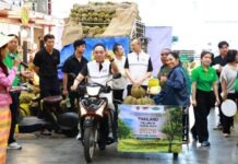 พาณิชย์ ลุยแคมเปญ Thailand : The Land of Tropical Fruits 2026 ดึงตลาดกลาง–ตลาดสดร่วมกระจายผลผลิต 1,000 ตัน หนุนรายได้เกษตรกร