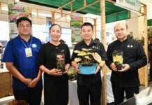 สมุทรปราการ เสิร์ฟ “มหกรรมสินค้าเกษตรปลอดภัยและของดีเมืองปากน้ำ” รวมสินค้ากว่า 120 บูธ ส่งตรงจากเกษตรกรถึงผู้บริโภค